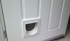 CAT FLAP ON WOODEN DOOR